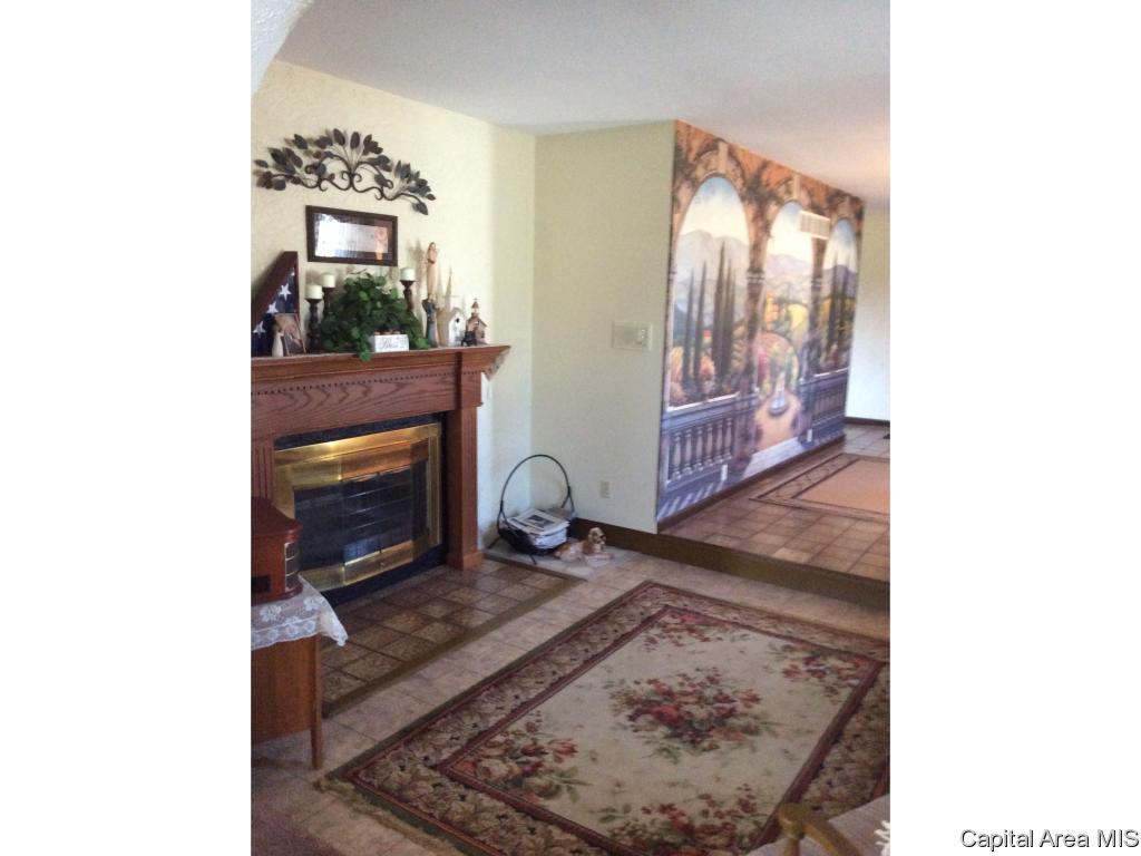 3890 Ostermeier Road Auburn, IL 62615 - Photo 7 of 36