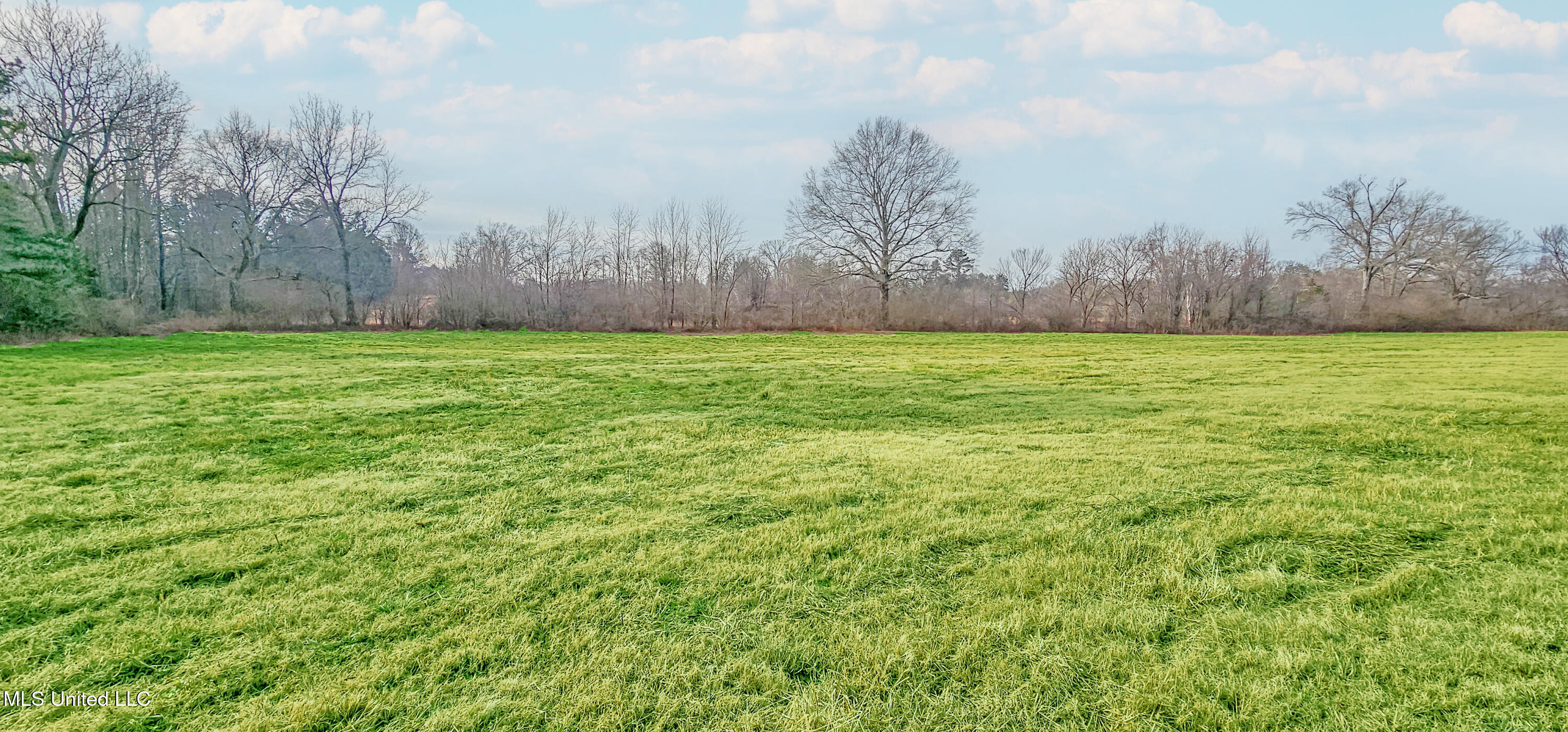 200 Rossville Road Holly Springs, MS 38635 - Photo 3 of 24 Large Open Backyard