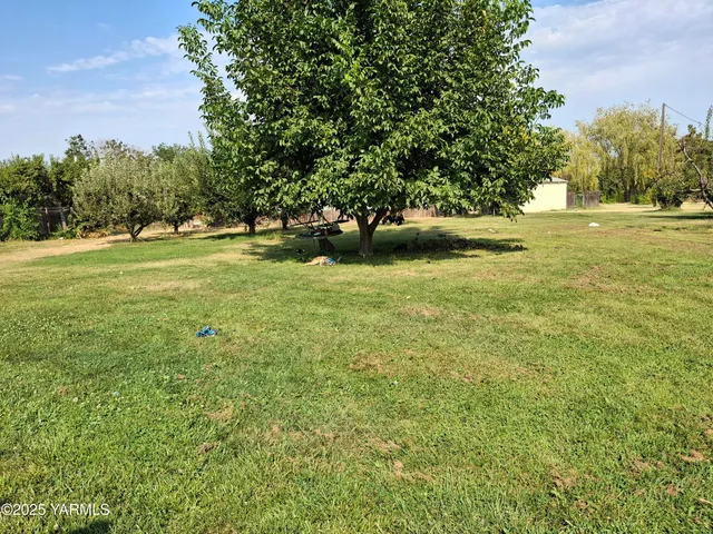 a view of a field of grass and trees