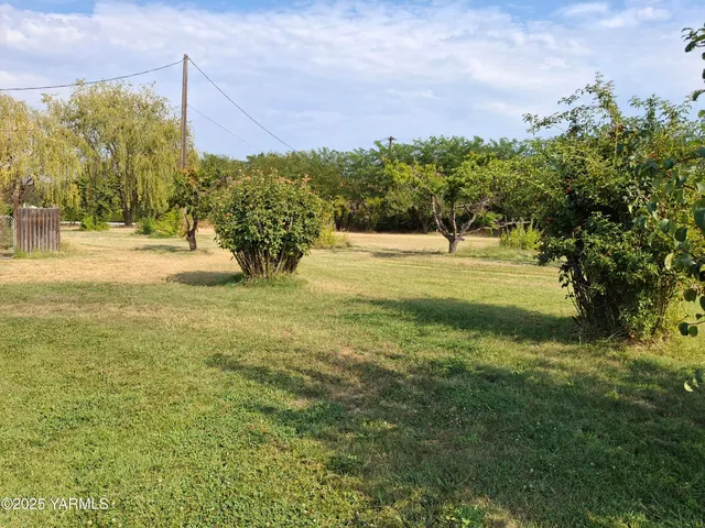 a view of a yard with a house