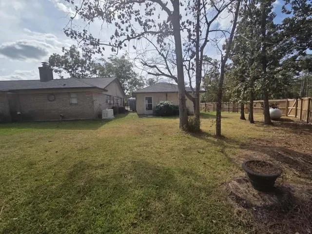 a view of a backyard with plants and trees