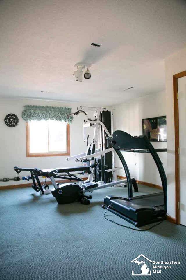 715 East Erie Road Temperance, MI 48182 - Photo 20 of 25 20434313-19.JPG