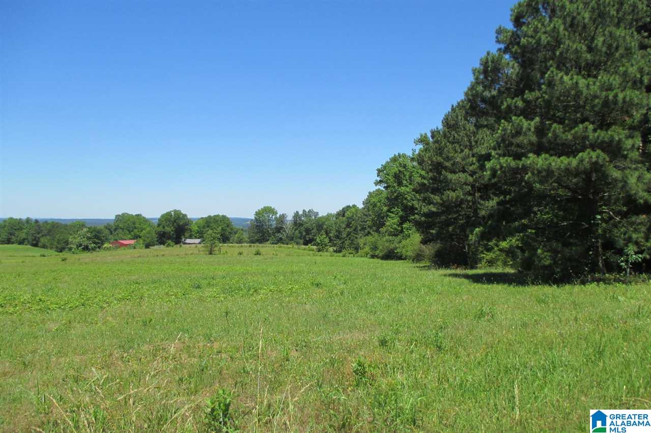 0 Washburn Drive Oneonta, AL 35121 - Photo 2 of 8