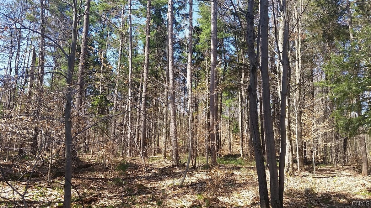 0 Co Rt 17a Camden, NY 13316 - Photo 11 of 18