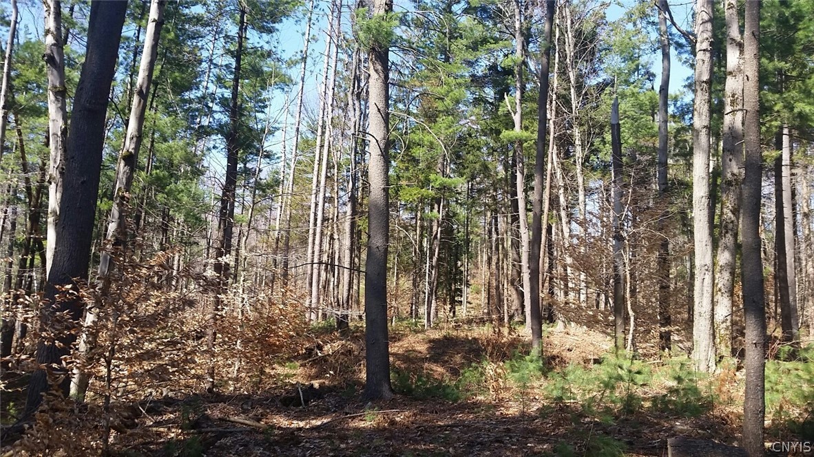 0 Co Rt 17a Camden, NY 13316 - Photo 12 of 18