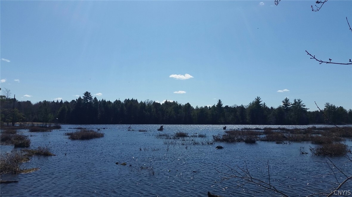 0 Co Rt 17a Camden, NY 13316 - Photo 13 of 18