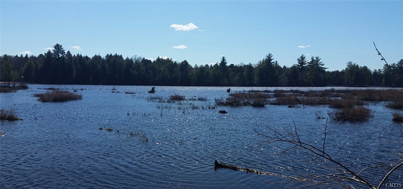 0 Co Rt 17a Camden, NY 13316 - Photo 14 of 18