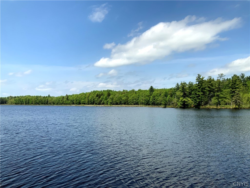 0 Co Rt 17a Camden, NY 13316 - Photo 2 of 18