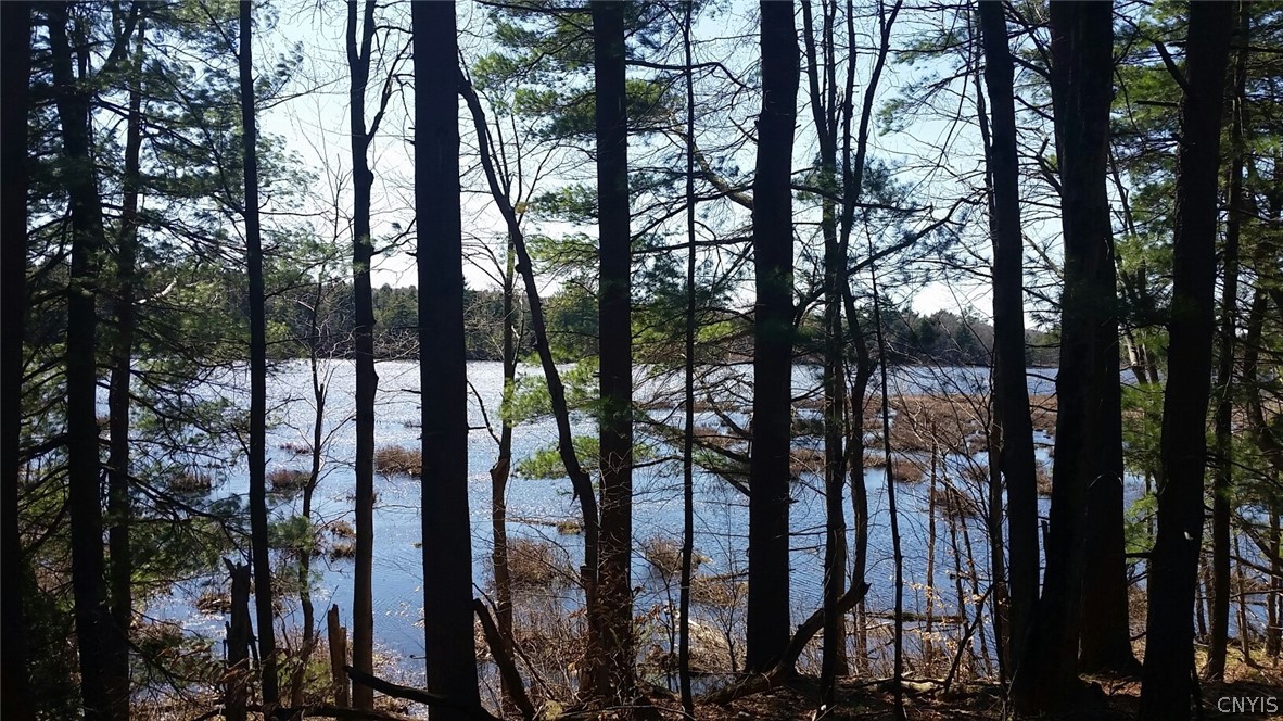 0 Co Rt 17a Camden, NY 13316 - Photo 3 of 18