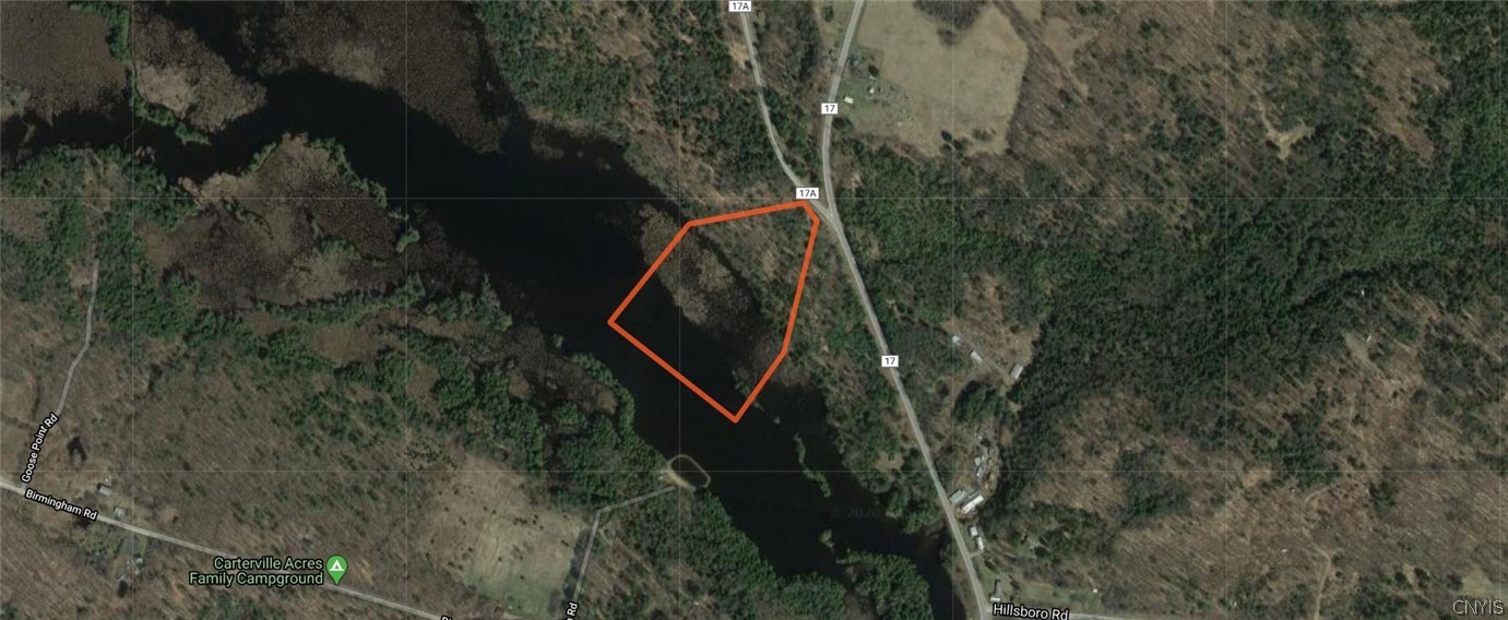 0 Co Rt 17a Camden, NY 13316 - Photo 5 of 18