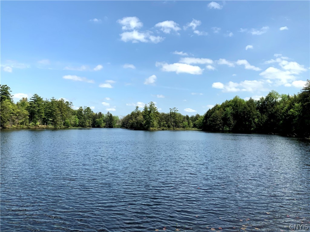 0 Co Rt 17a Camden, NY 13316 - Photo 6 of 18