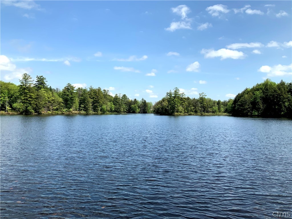 0 Co Rt 17a Camden, NY 13316 - Photo 7 of 18