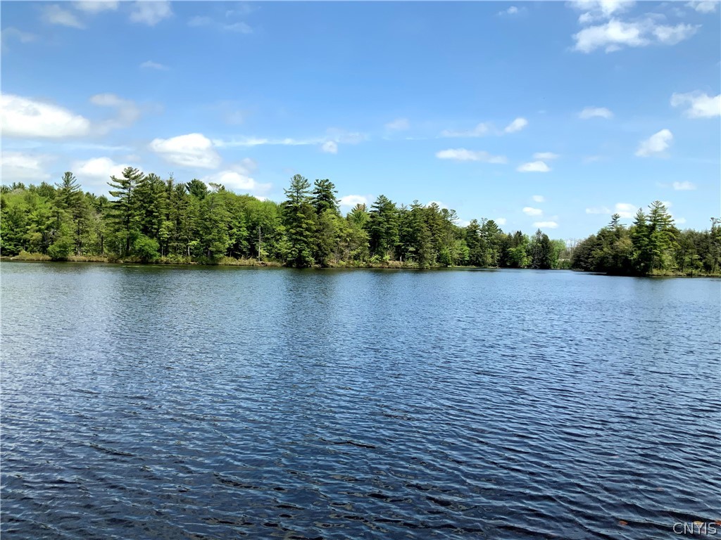 0 Co Rt 17a Camden, NY 13316 - Photo 8 of 18