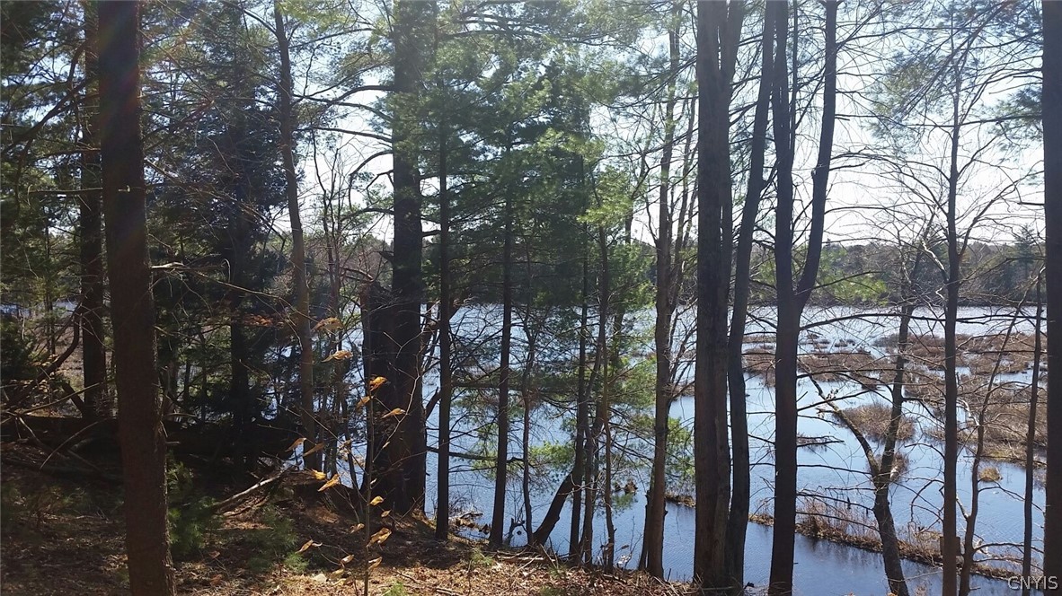 0 Co Rt 17a Camden, NY 13316 - Photo 9 of 18