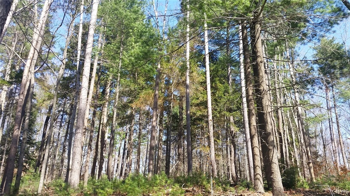 0 Co Rt 17a Camden, NY 13316 - Photo 10 of 18