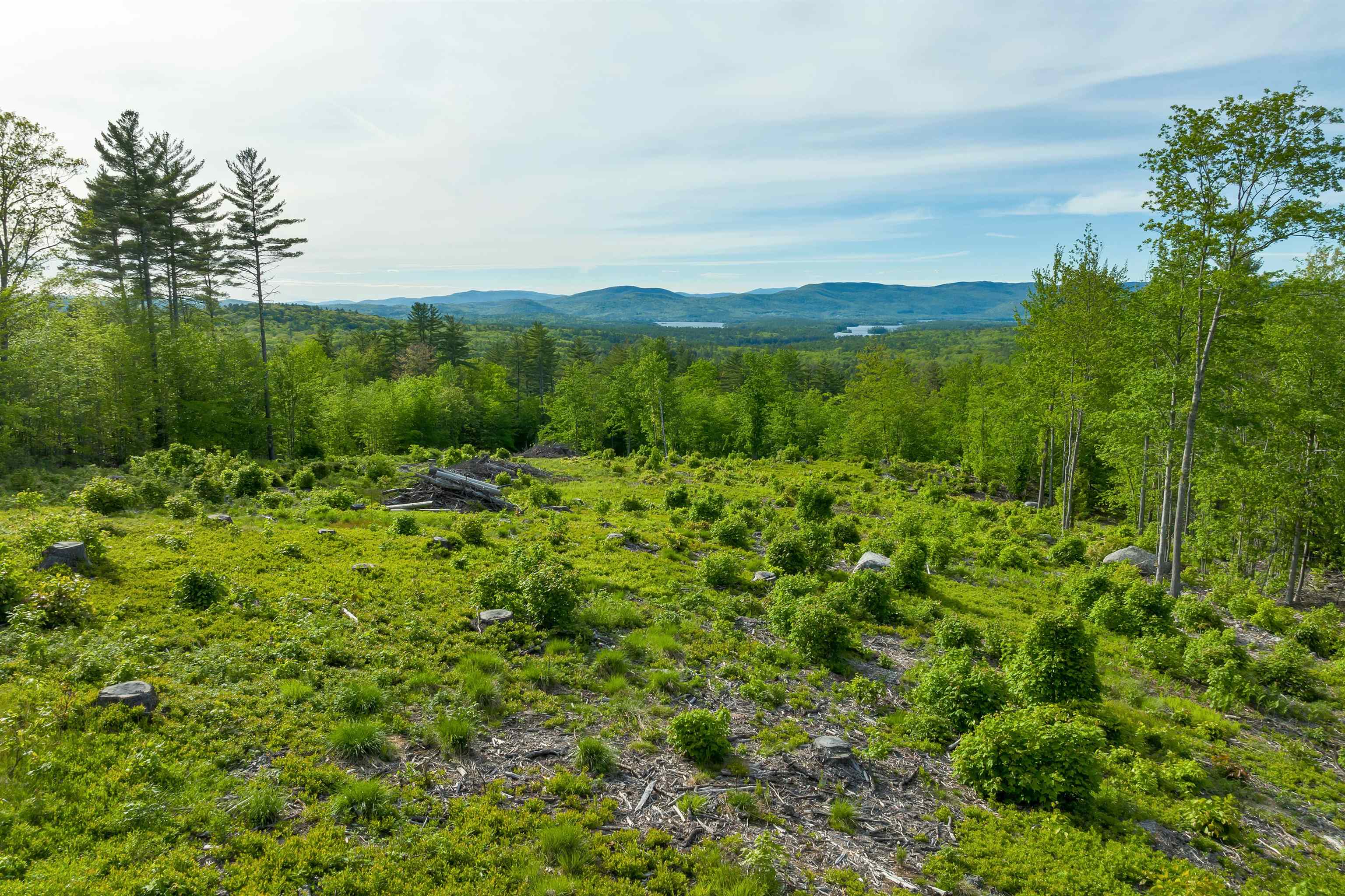 Tuttle Road Meredith, NH 03253 - Photo 6 of 34 Gallery Image 6