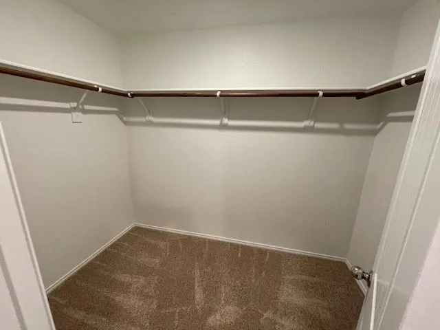 a view of an empty walk in closet