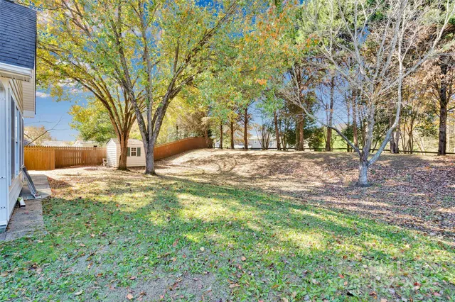 a view of road with large trees
