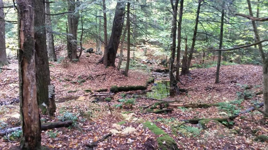 1 Birch Bluff Road Chester, MA 01011 - Photo 11 of 16 Gallery Image 11