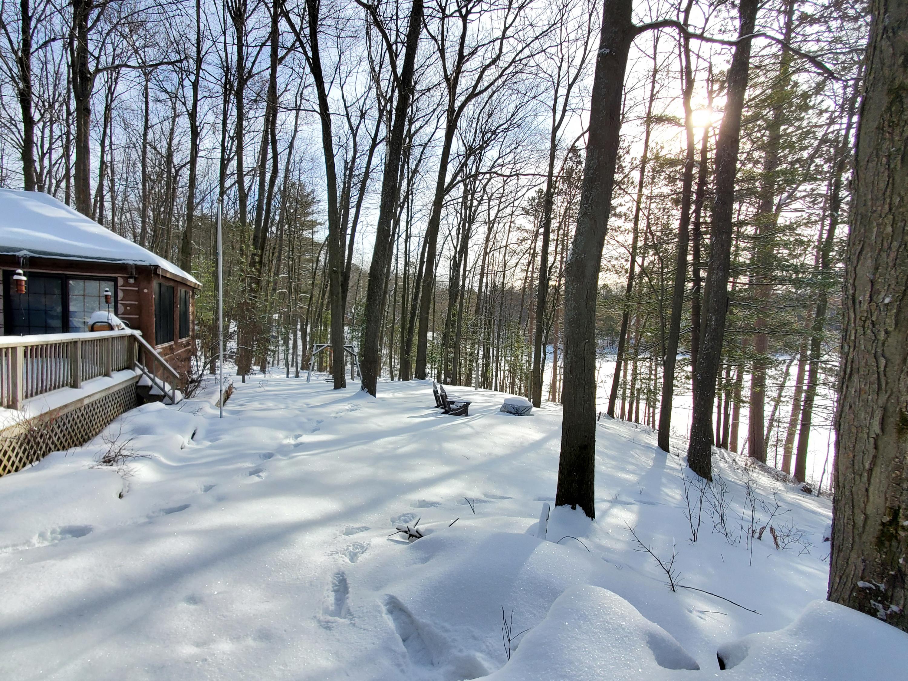 161 Loon Lake Loop Road Rose City, MI 48654 - Photo 45 of 69 Gallery Image 45