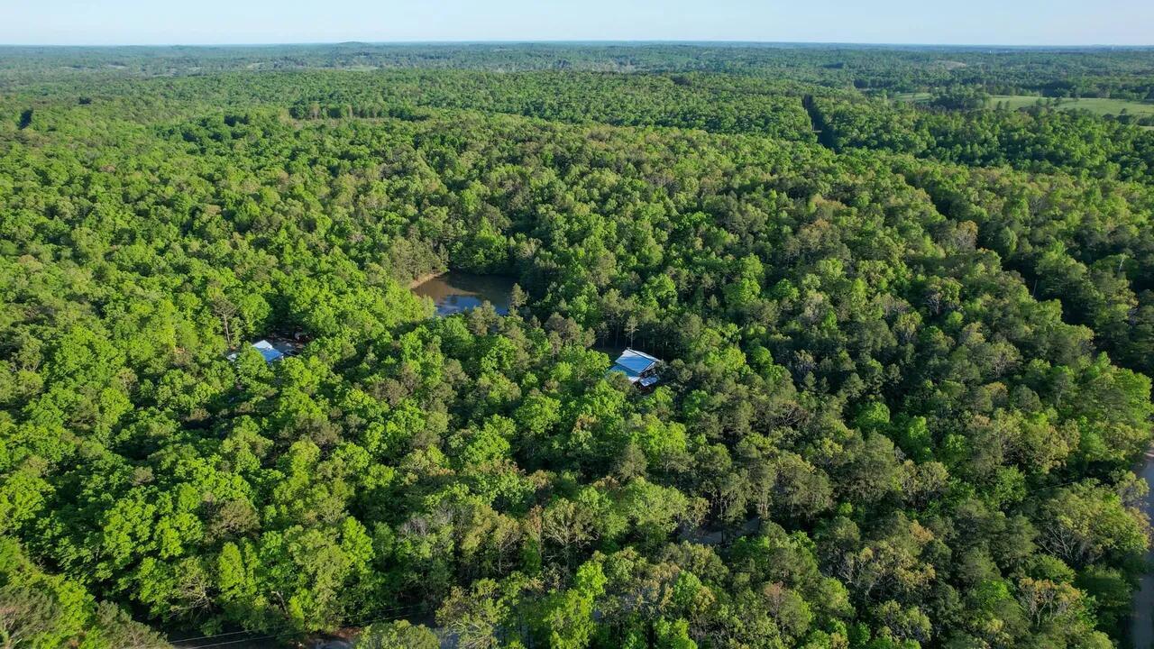 16444 Freedom Road Willow Springs, MO 65793 - Photo 51 of 51 20250819214340145315000000-o