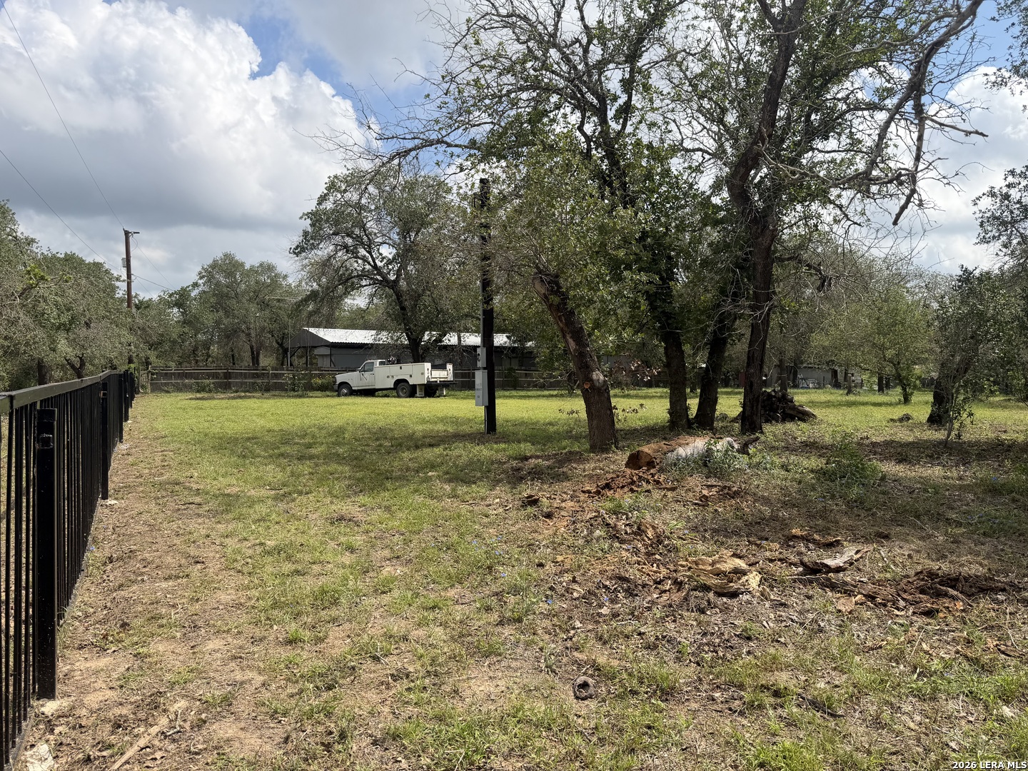 25594 Sunset Road San Antonio, TX 78264 - Photo 5 of 7 a view of a tree in a yard