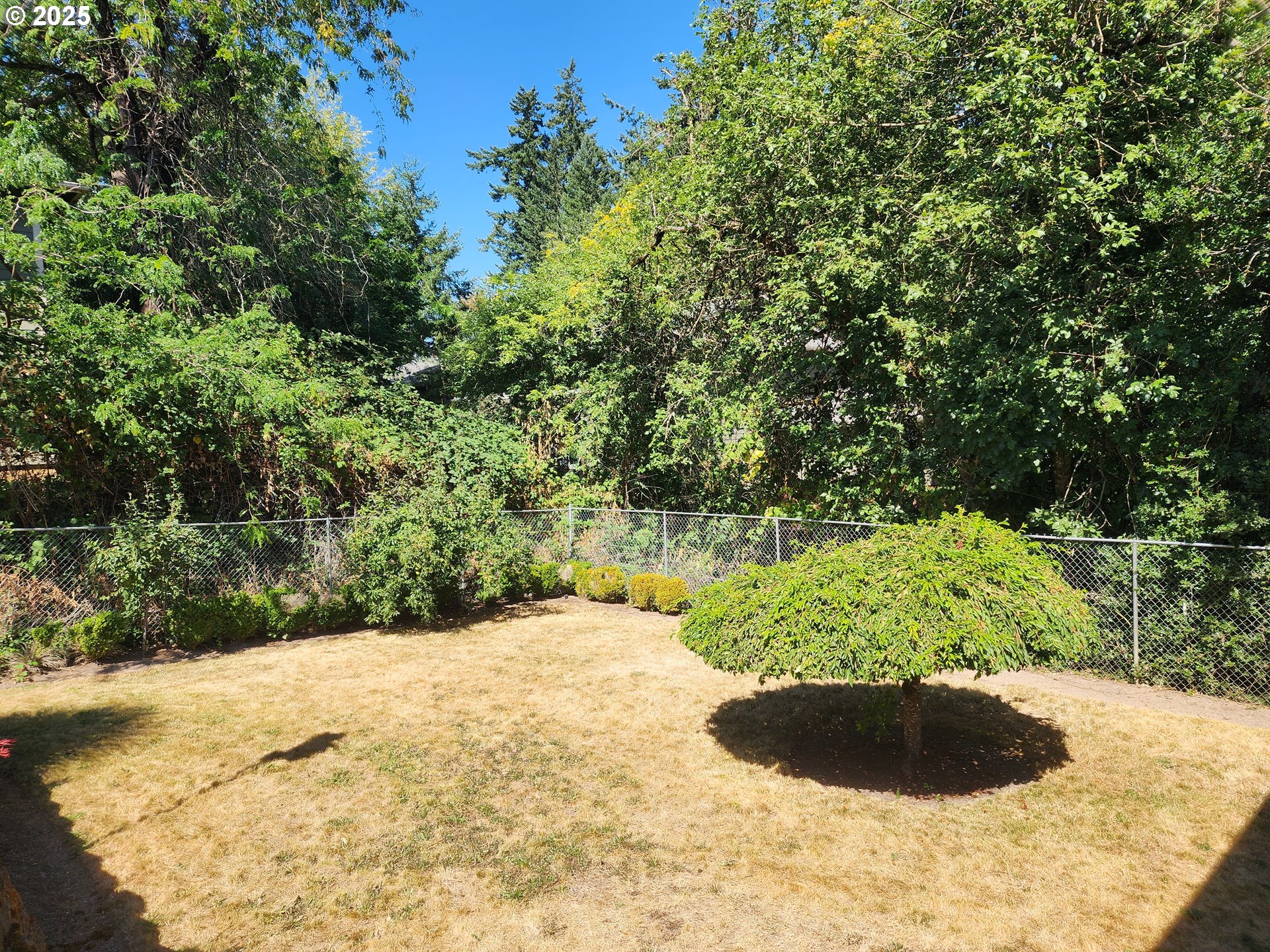 4081 Hawthorne Avenue Northeast Salem, OR 97301 - Photo 20 of 25 a view of outdoor space and green space