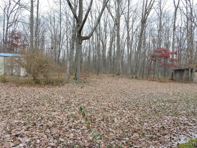 191 Hobby Acres Road Kunkletown, PA 18058 - Photo 14 of 15 a backyard of a house with lots of green space