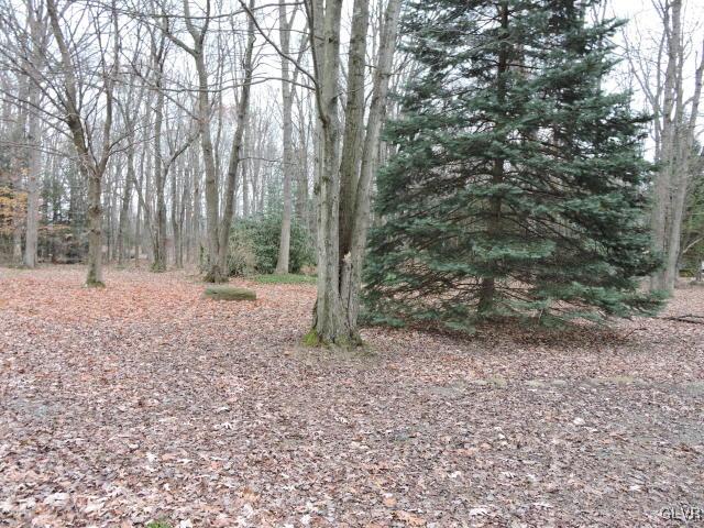 191 Hobby Acres Road Kunkletown, PA 18058 - Photo 15 of 15 a backyard of a house with lots of green space