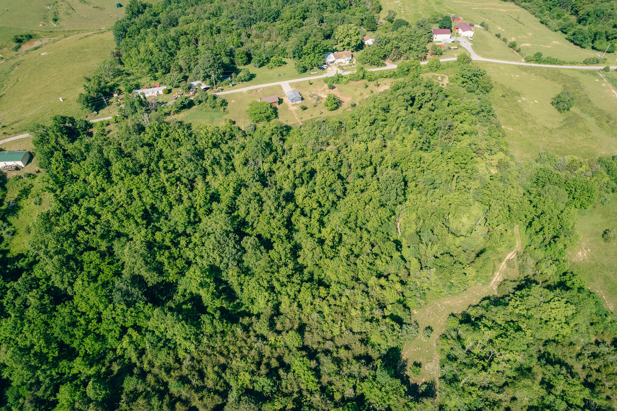 5145 Deertrot Road Dublin, VA 24084 - Photo 24 of 32 Perdue pic 27