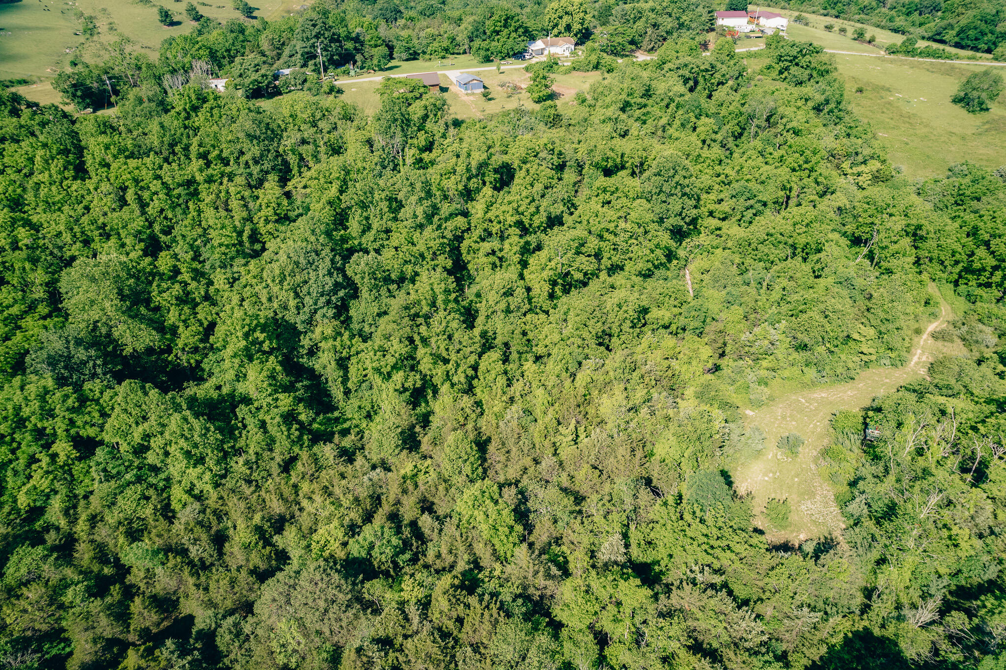 5145 Deertrot Road Dublin, VA 24084 - Photo 25 of 32 Perdue pic 33