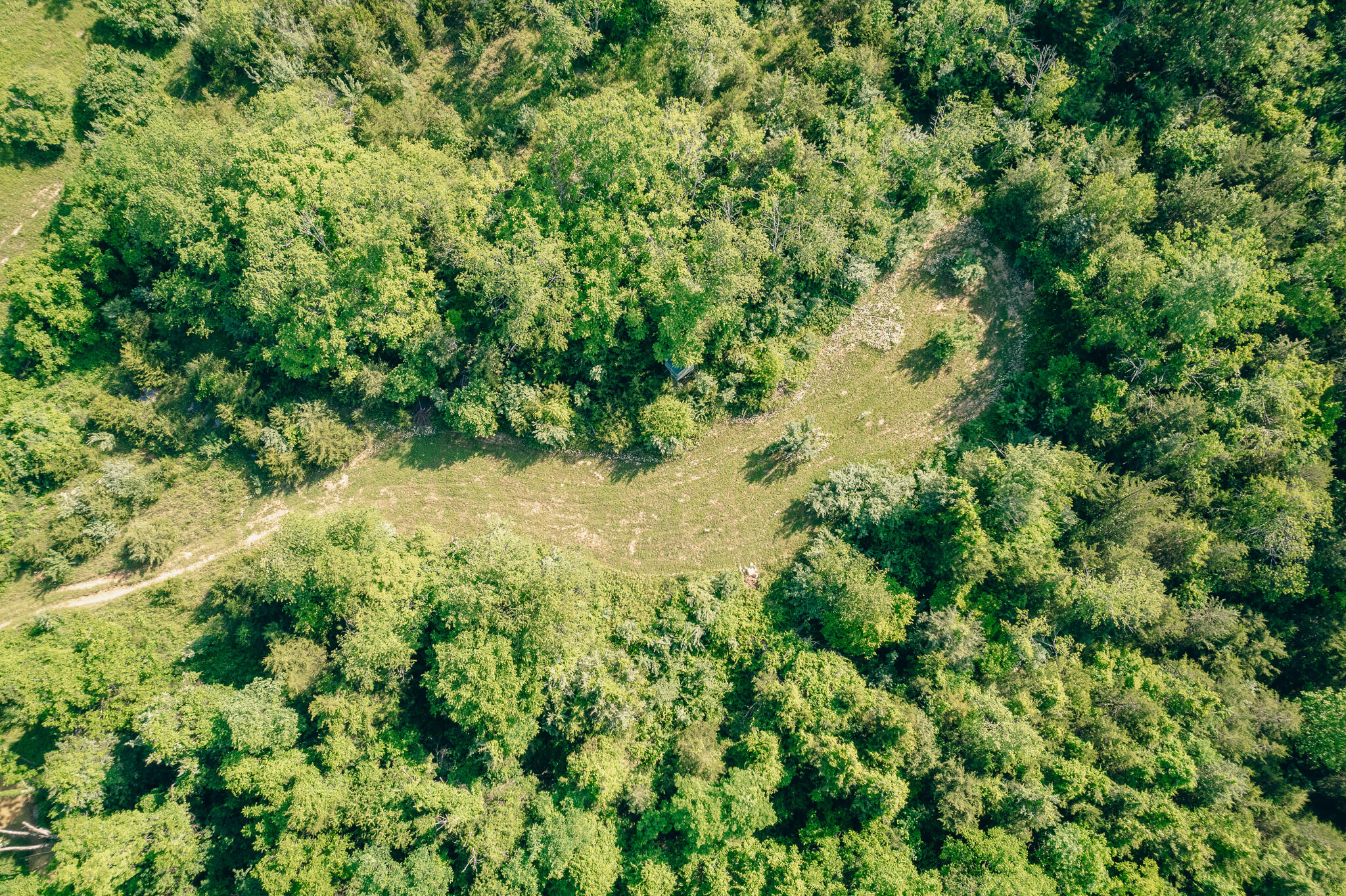 5145 Deertrot Road Dublin, VA 24084 - Photo 26 of 32 Perdue pic 28