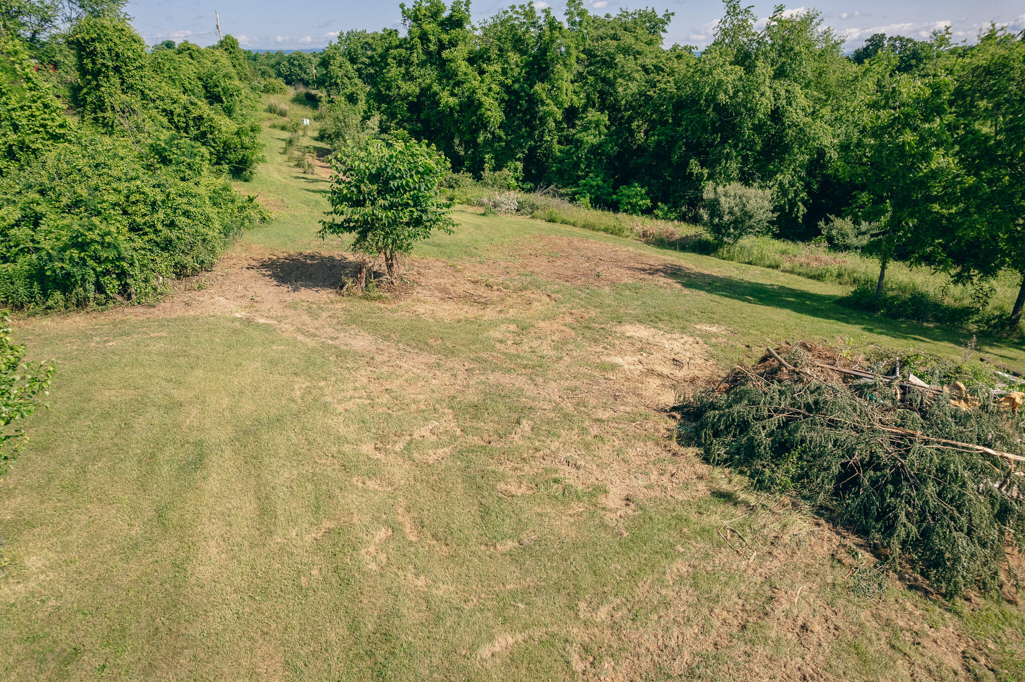 5145 Deertrot Road Dublin, VA 24084 - Photo 30 of 32 Perdue pic 29