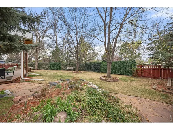 a view of yard with tree
