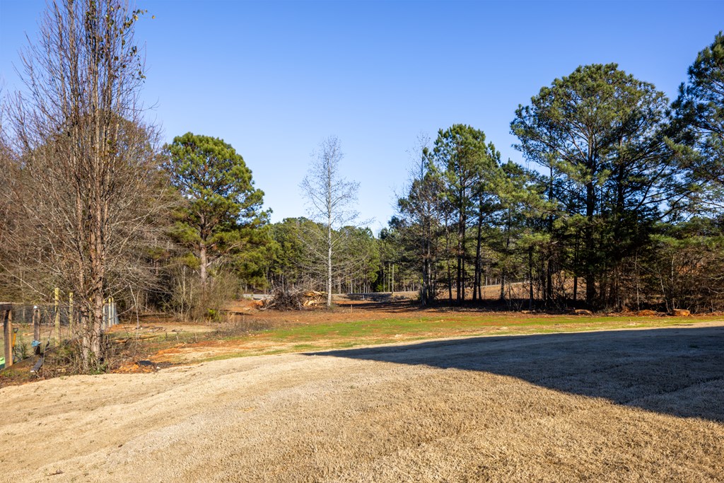 163 Lee Road Salem, AL 36874 - Photo 4 of 28