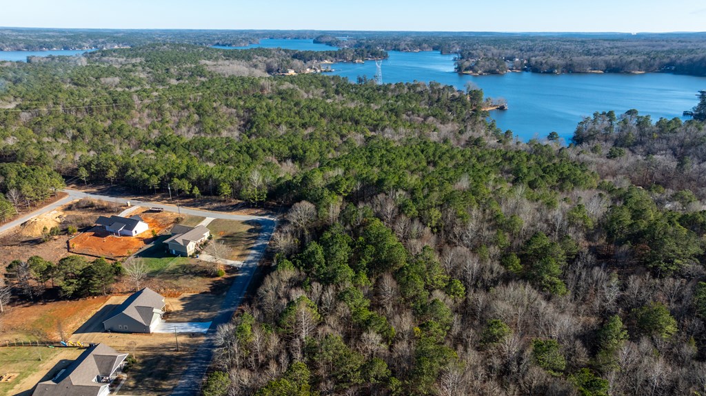 163 Lee Road Salem, AL 36874 - Photo 8 of 28