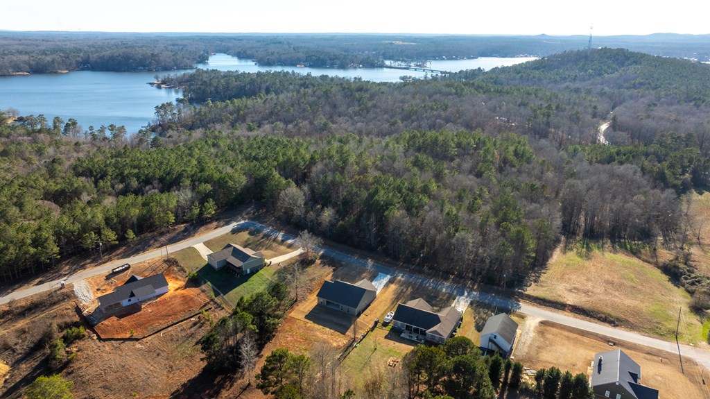 163 Lee Road Salem, AL 36874 - Photo 9 of 28