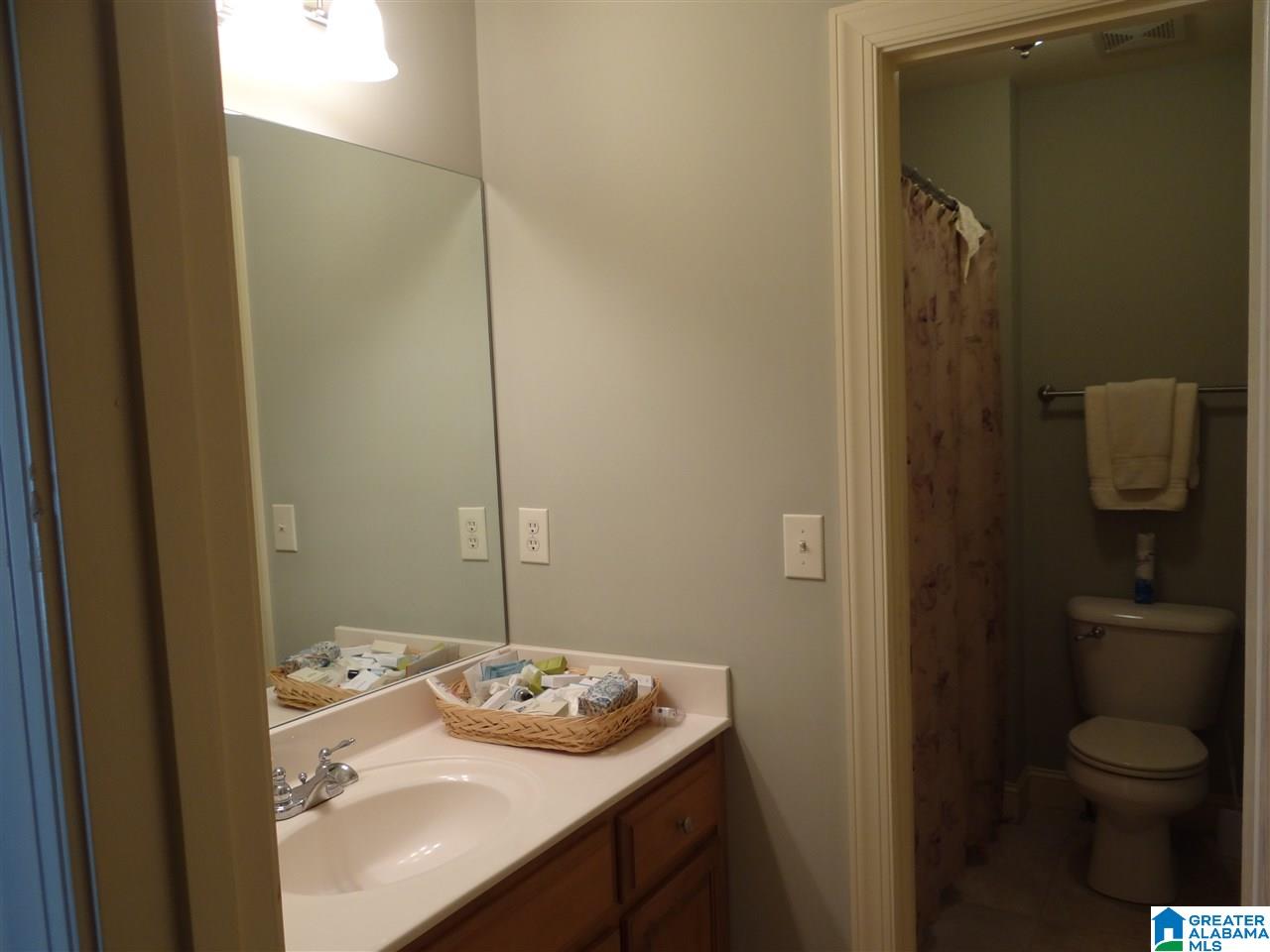 336 Middle Ridge Drive Springville, AL 35146 - Photo 32 of 49