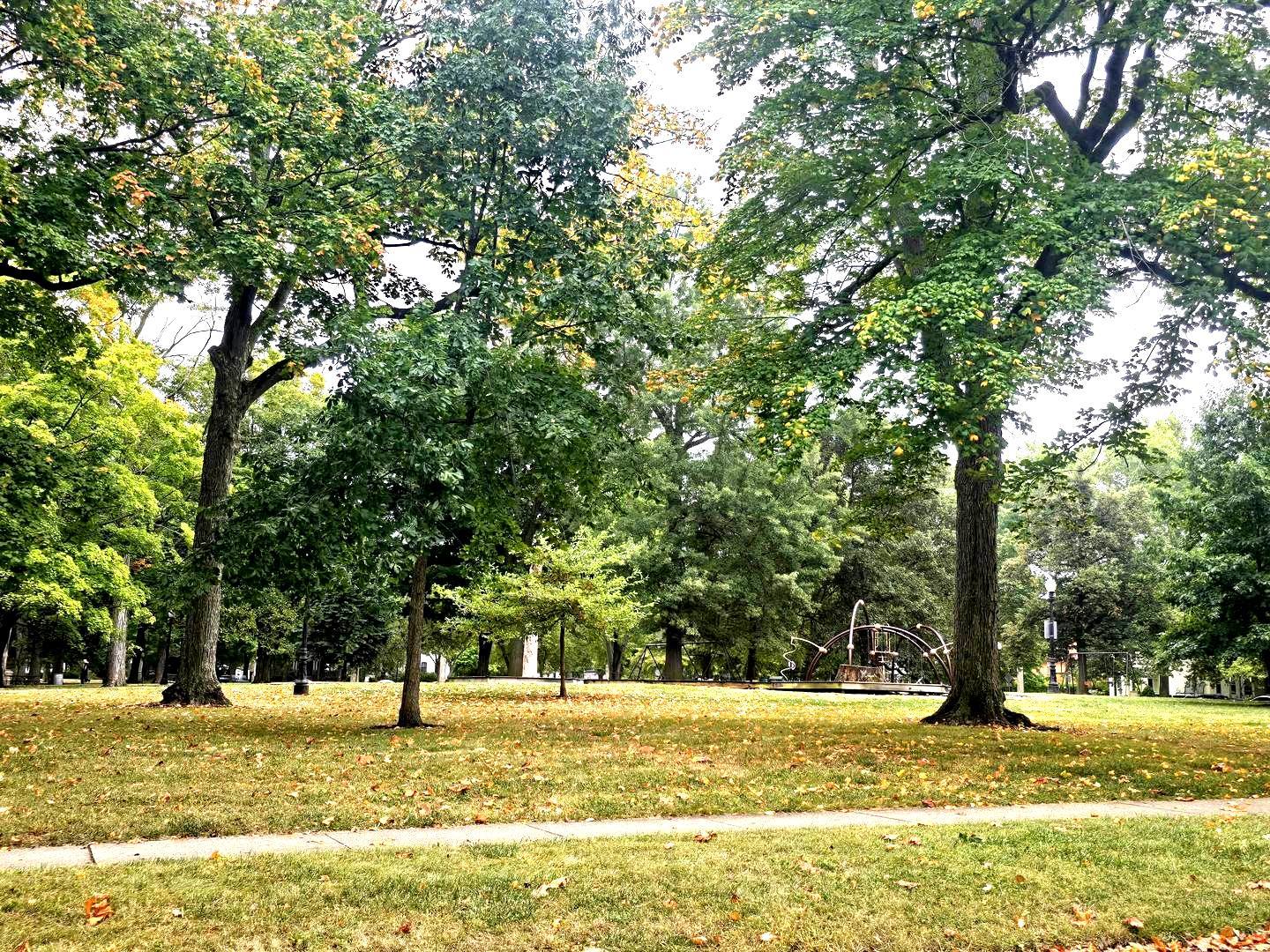 1018 North Prairie Street Bloomington, IL 61701 - Photo 39 of 49 a swimming pool with trees in the background