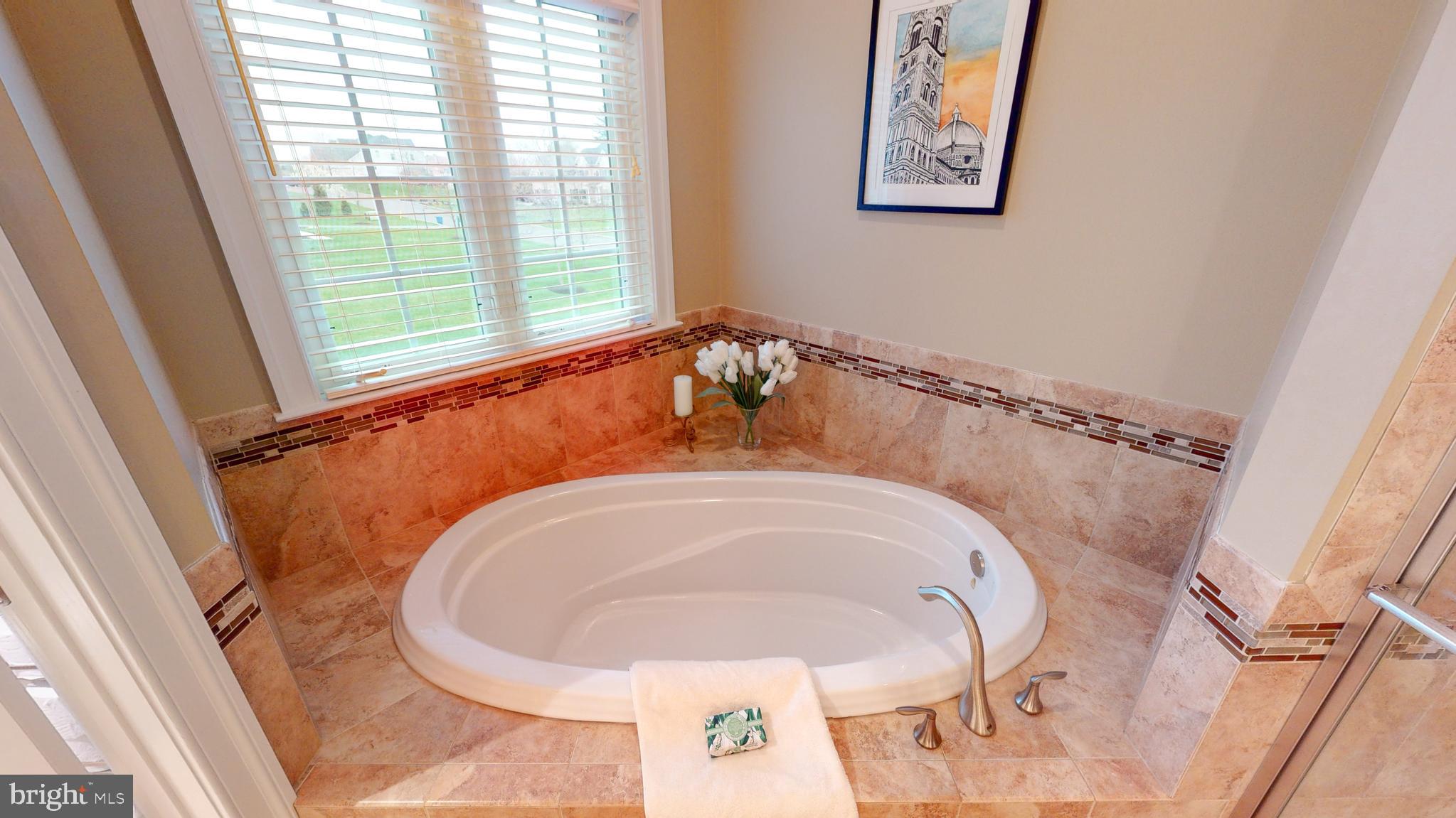 1363 Spring Hill Road Eagleville, PA 19403 - Photo 39 of 72 Master Bath