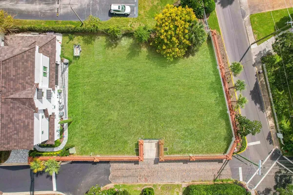 a view of a garden from a patio