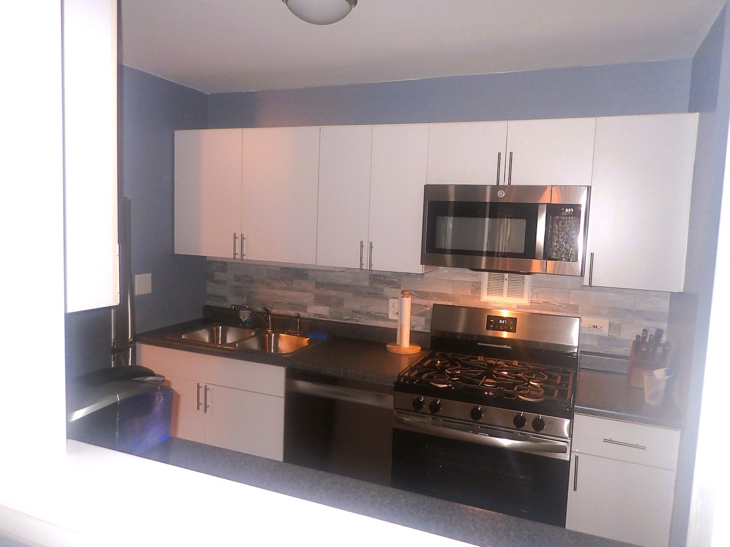 1127 South Old Wilke Road, Unit 101 Rolling Meadows, IL 60005 - Photo 13 of 32