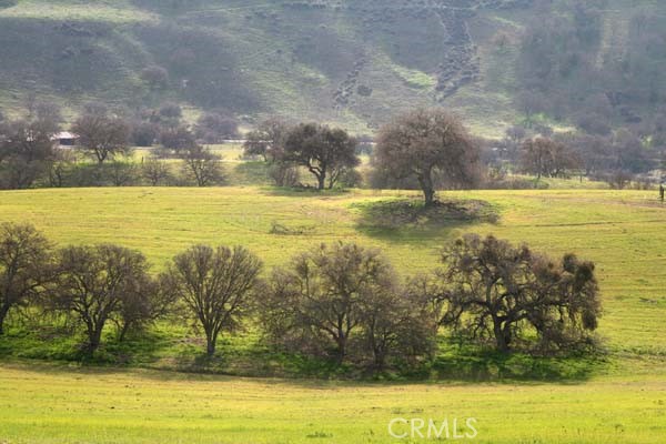 0 Nickel Creek Road San Miguel, CA 93451 - Photo 10 of 18 a view of an ocean
