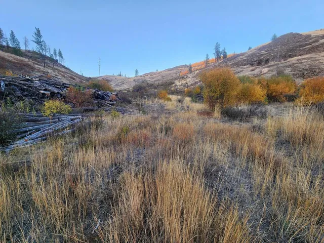 $44,997 | 0 Carpenter Road, Fruitland, WA 99129