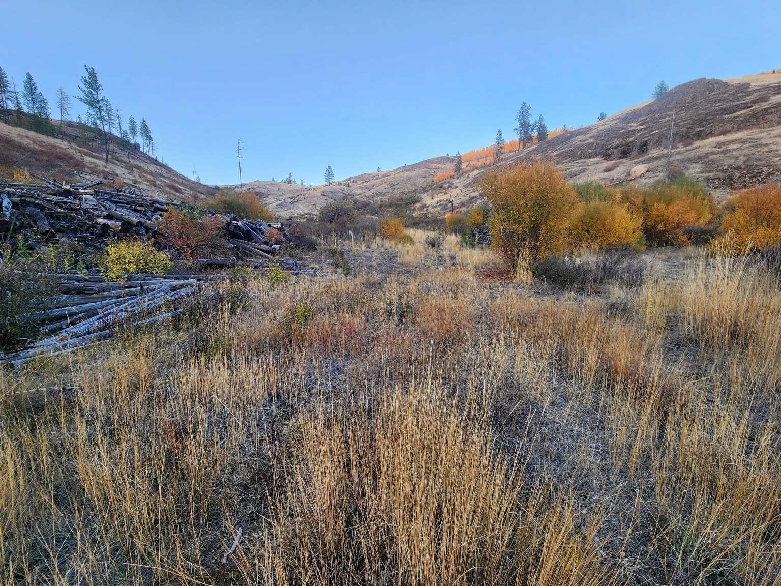 0 Carpenter Road Fruitland, WA 99129 - Photo 12 of 43