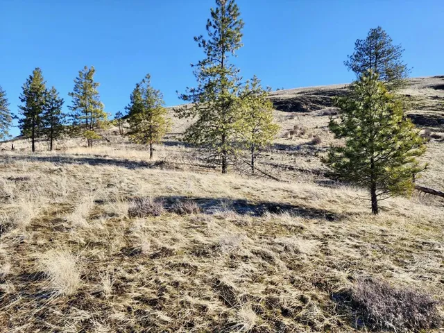 $44,997 | 0 Carpenter Road, Fruitland, WA 99129
