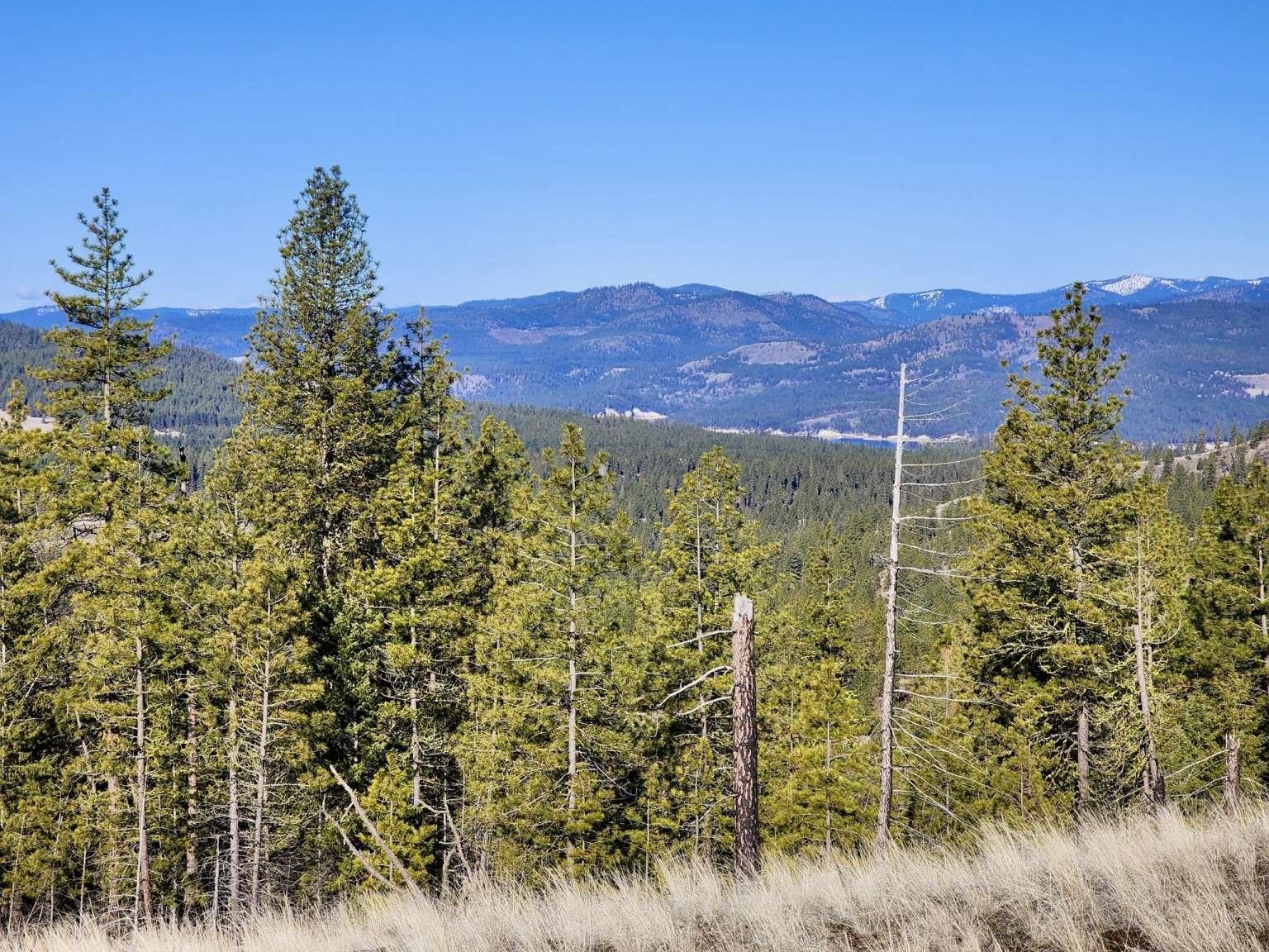 0 Carpenter Road Fruitland, WA 99129 - Photo 18 of 43