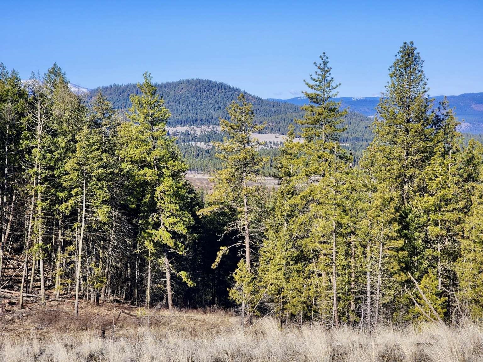 0 Carpenter Road Fruitland, WA 99129 - Photo 19 of 43