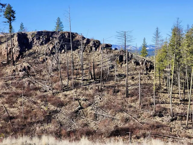 $44,997 | 0 Carpenter Road, Fruitland, WA 99129