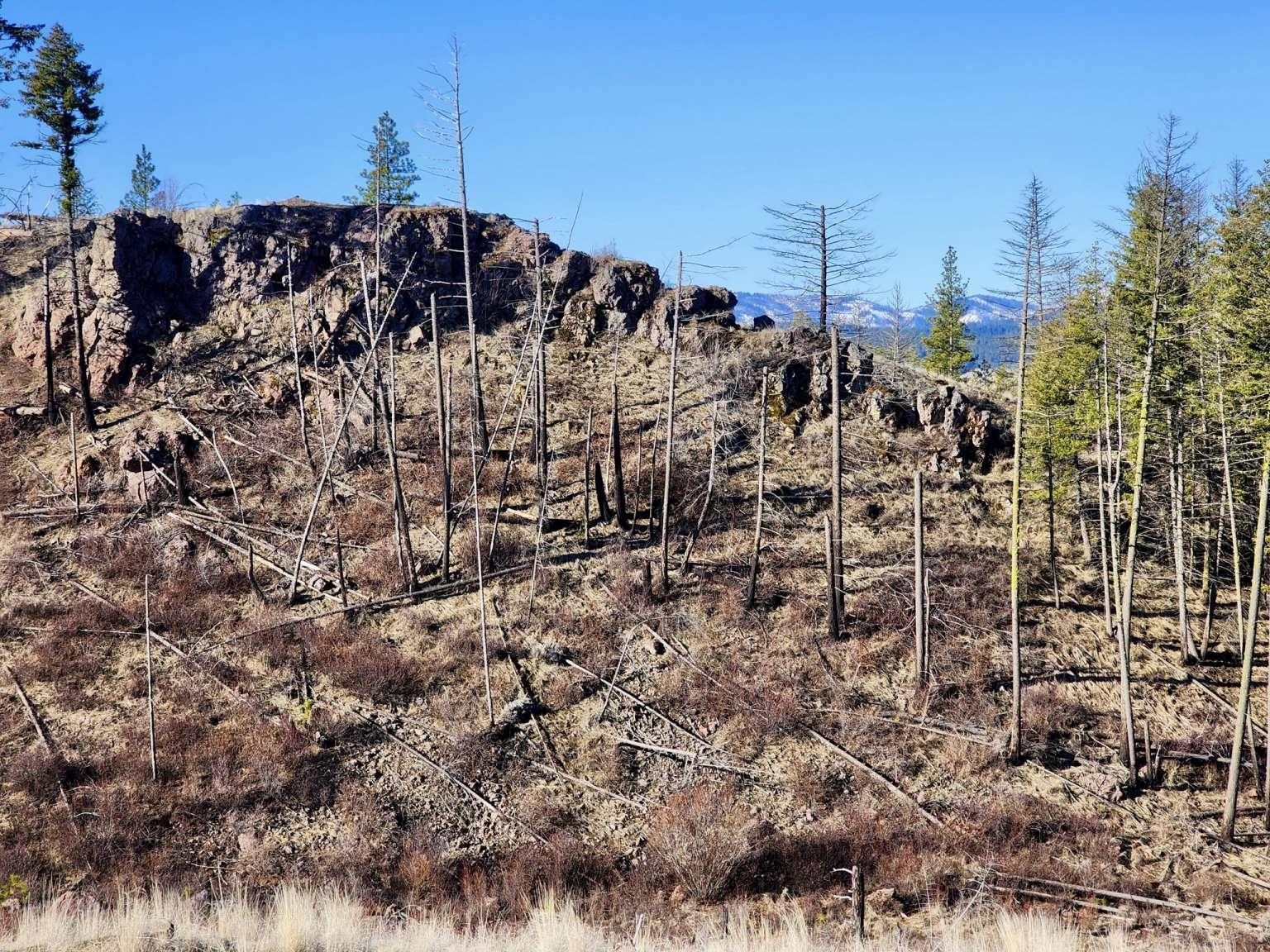 0 Carpenter Road Fruitland, WA 99129 - Photo 21 of 43